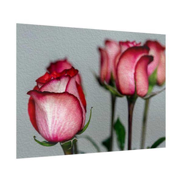 92409-142.jpg Red Oil Rose Poster