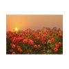 Barn in Smokey Orange Sky Poster