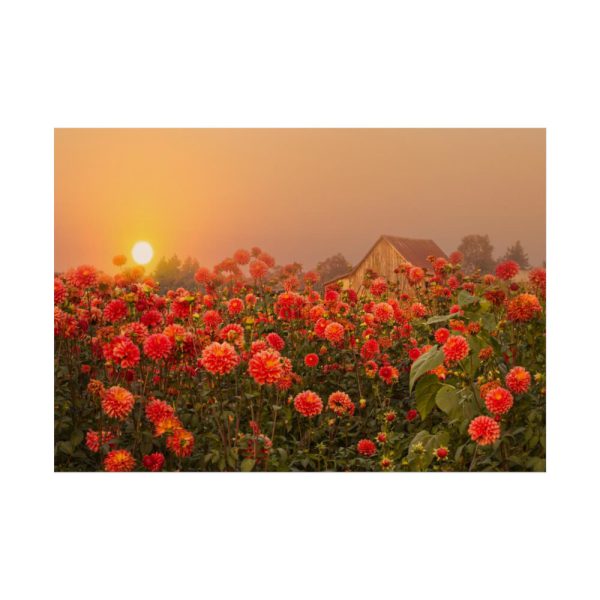 Barn in Smokey Orange Sky Poster