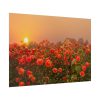 Barn in Smokey Orange Sky Poster