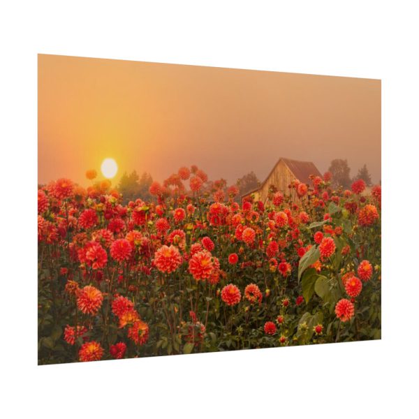 Barn in Smokey Orange Sky Poster