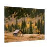 92409-158.jpg Woden Barn in Forest Poster