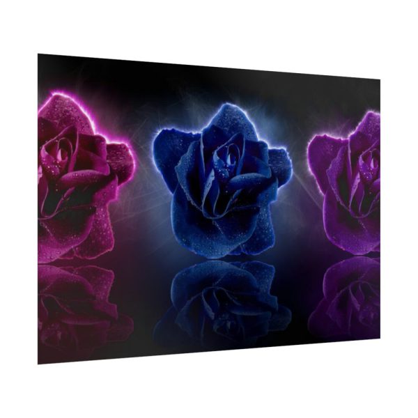 92409-162.jpg Rose Flower Blossom Poster