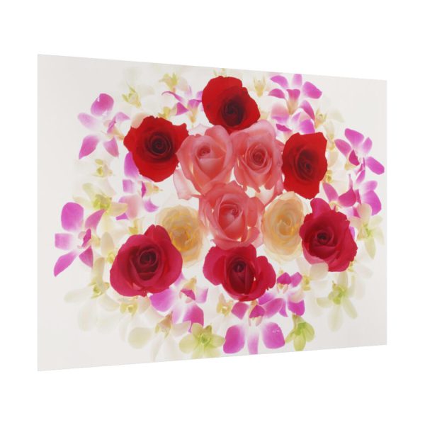 92409-166.jpg Summer Blossom Poster