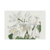 White Cape Coast Lily by Sydenham Edwards Poster