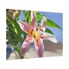 92409-174.jpg Pink Lily Poster
