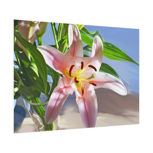 92409-174.jpg Pink Lily Poster
