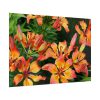Orange Lily Poster