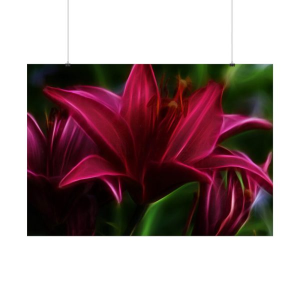 Pink Bloom Lily Poster