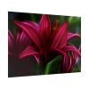 Pink Bloom Lily Poster