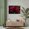 Pink Bloom Lily Poster
