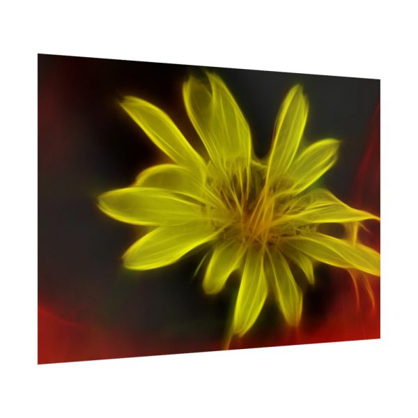 Yellow Flower Poster