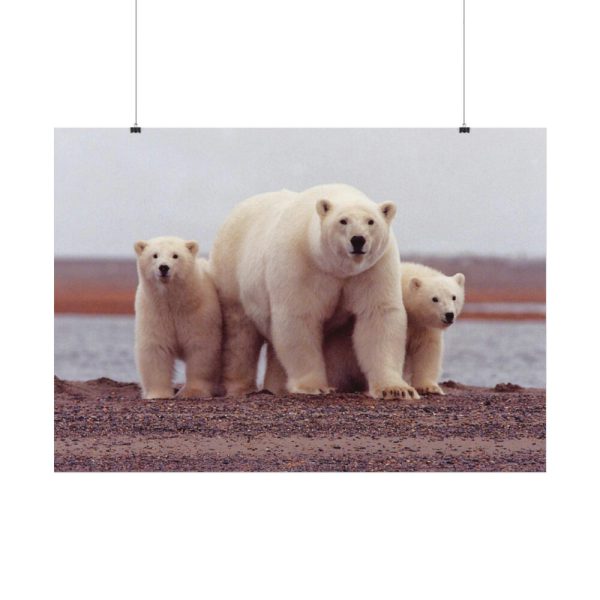 92409-201.jpg Polar Mama Bear and Cubs Poster