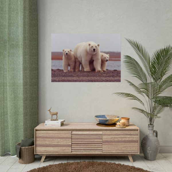92409-203.jpg Polar Mama Bear and Cubs Poster