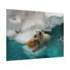 Polar Bear in Water Poster
