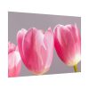 92409-214.jpg Pink Tulip Poster