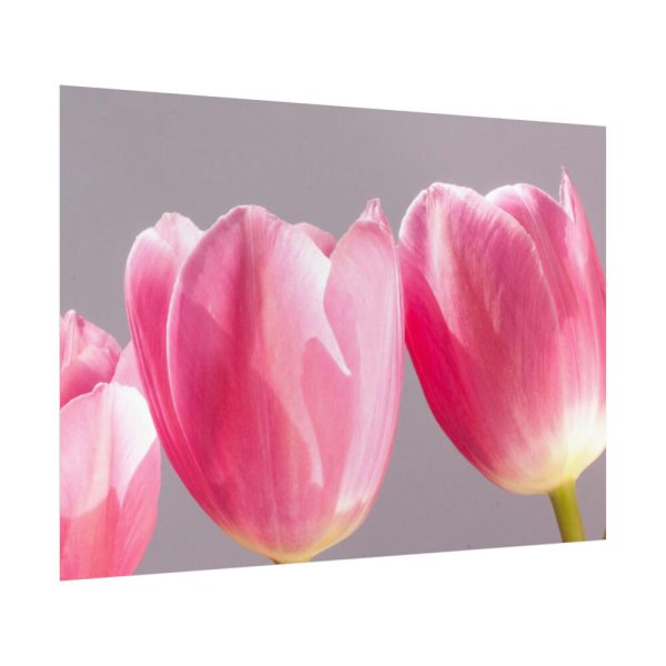 92409-214.jpg Pink Tulip Poster