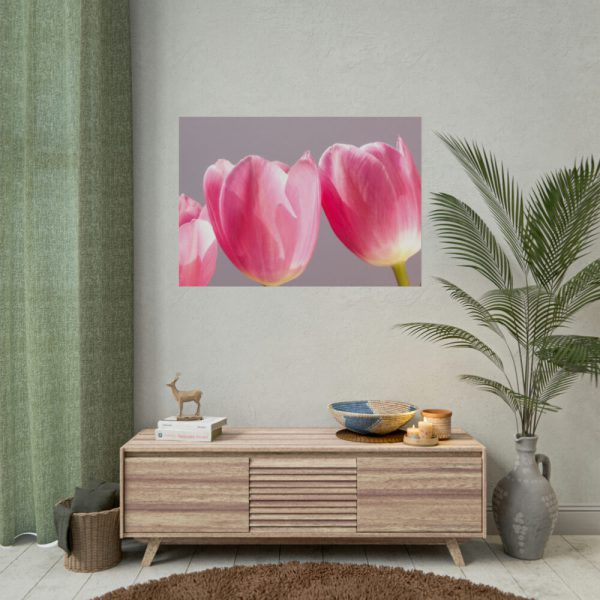 92409-215.jpg Pink Tulip Poster