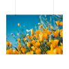 92409-217.jpg Orange Petaled Flowers Poster