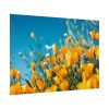 92409-218.jpg Orange Petaled Flowers Poster