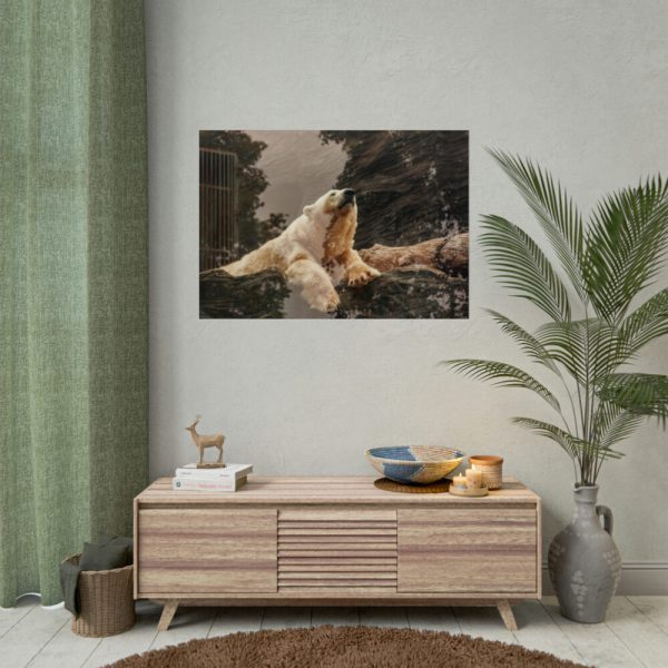 92409-223.jpg Polar Bear in Zoo Poster
