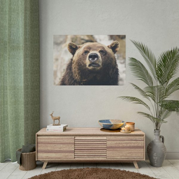 Head of Grizzly Bear Poster