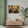 92409-231.jpg Bear is Resting Poster