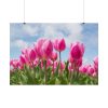 Tulip Beauty Poster