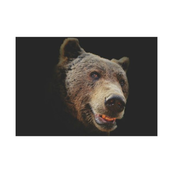 92409-240.jpg Face of Bear Poster