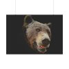 92409-241.jpg Face of Bear Poster