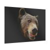 92409-242.jpg Face of Bear Poster