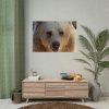 Bear Close up Poster