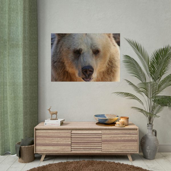 Bear Close up Poster