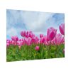 92409-254.jpg Pink Tulip Poster