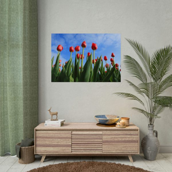 Red Tulip Poster