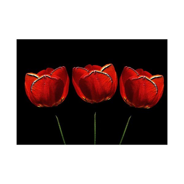Flowering Plant Poster