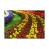 92409-273.jpg Beautiful Blossoms Poster