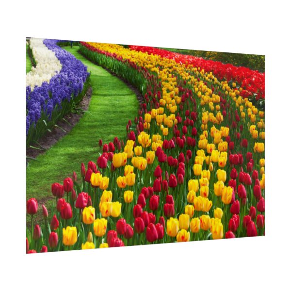 92409-274.jpg Beautiful Blossoms Poster