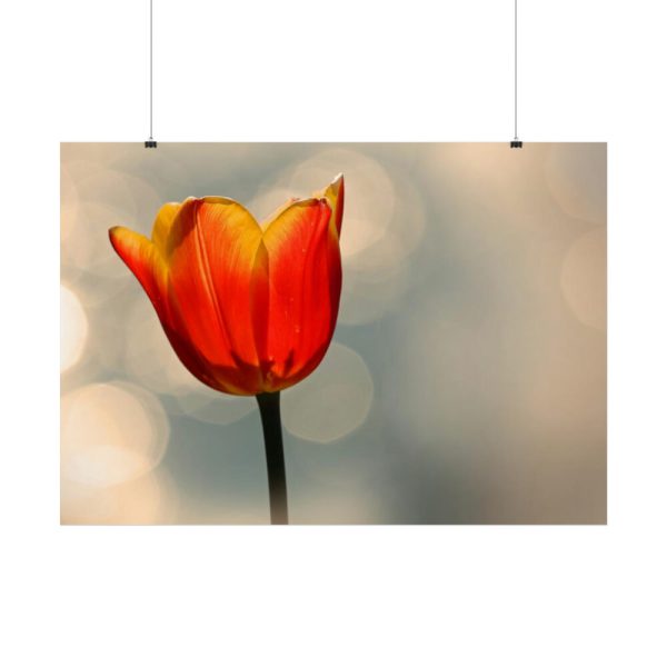 Sunny Poster
