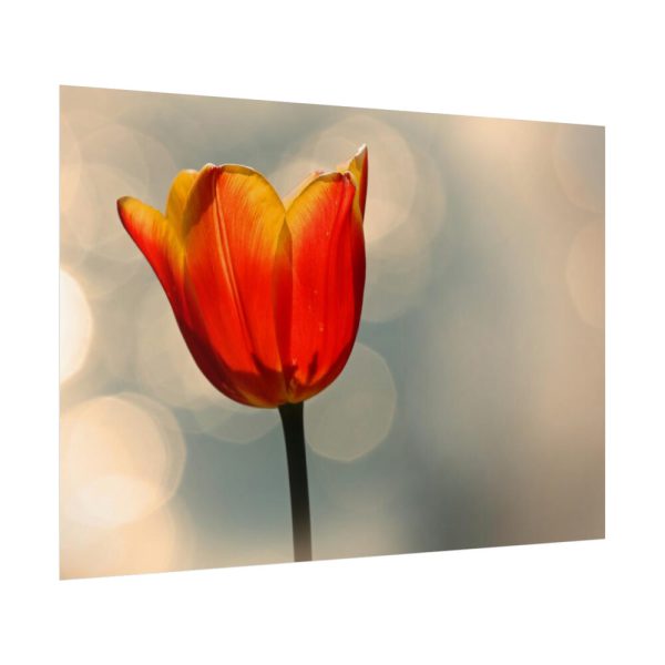 Sunny Poster