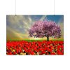 Signs of Spring Poster