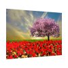 Signs of Spring Poster
