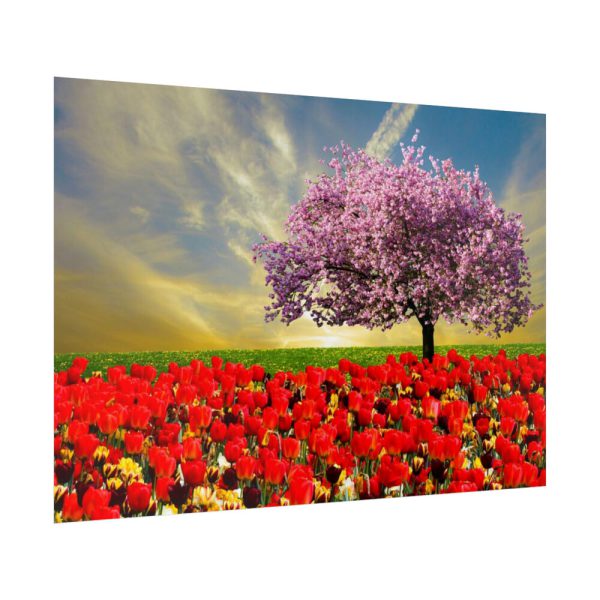 Signs of Spring Poster