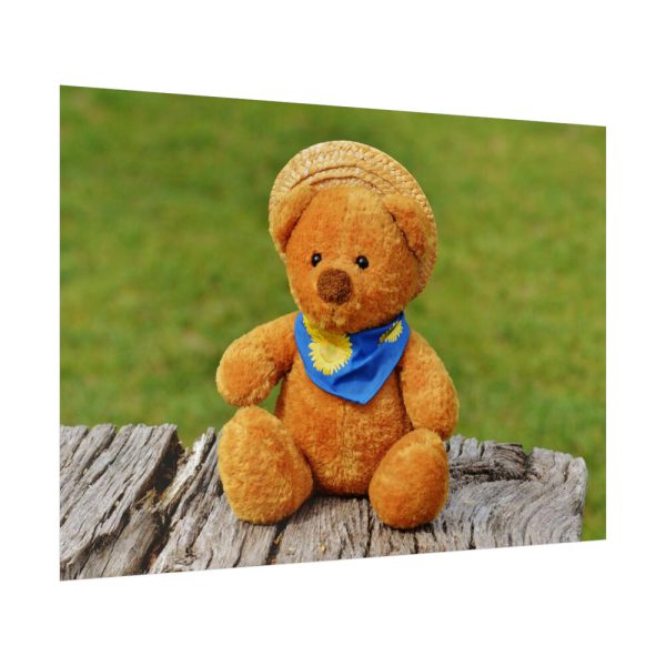 92409-319.jpg Bear with a Hat Poster