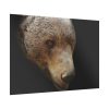 92409-324.jpg Bear Head Artistic Poster