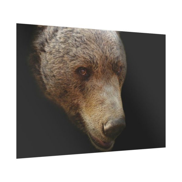 92409-324.jpg Bear Head Artistic Poster