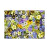 92409-348.jpg Daisy Flower Background Poster