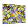 92409-349.jpg Daisy Flower Background Poster