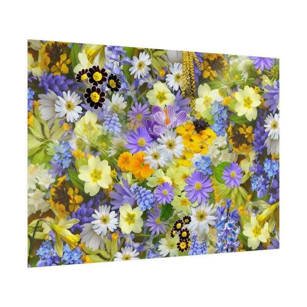 92409-349.jpg Daisy Flower Background Poster