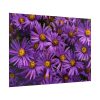 Purple Daisy Poster